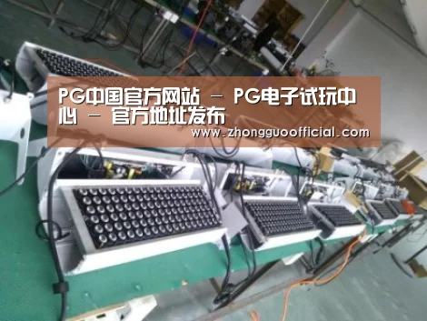 PG中国案例展示一
