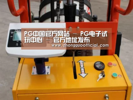 PG中国案例展示三(图1)