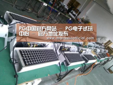 PG中国案例展示一(图1)