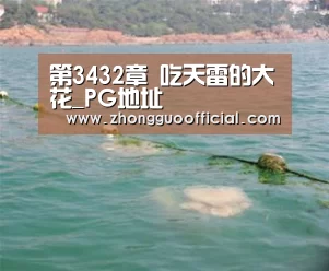 第3432章 吃天雷的大花_PG地址(图1) PG地址