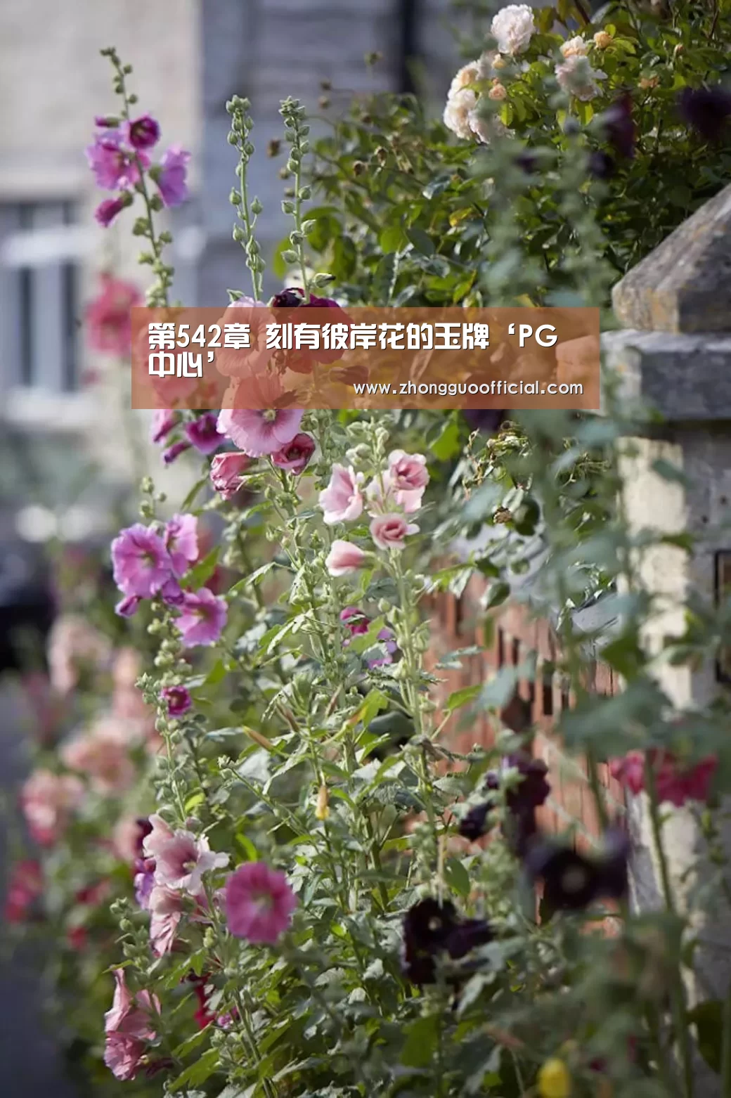 第542章 刻有彼岸花的玉牌‘PG中心’(图3) PG中国