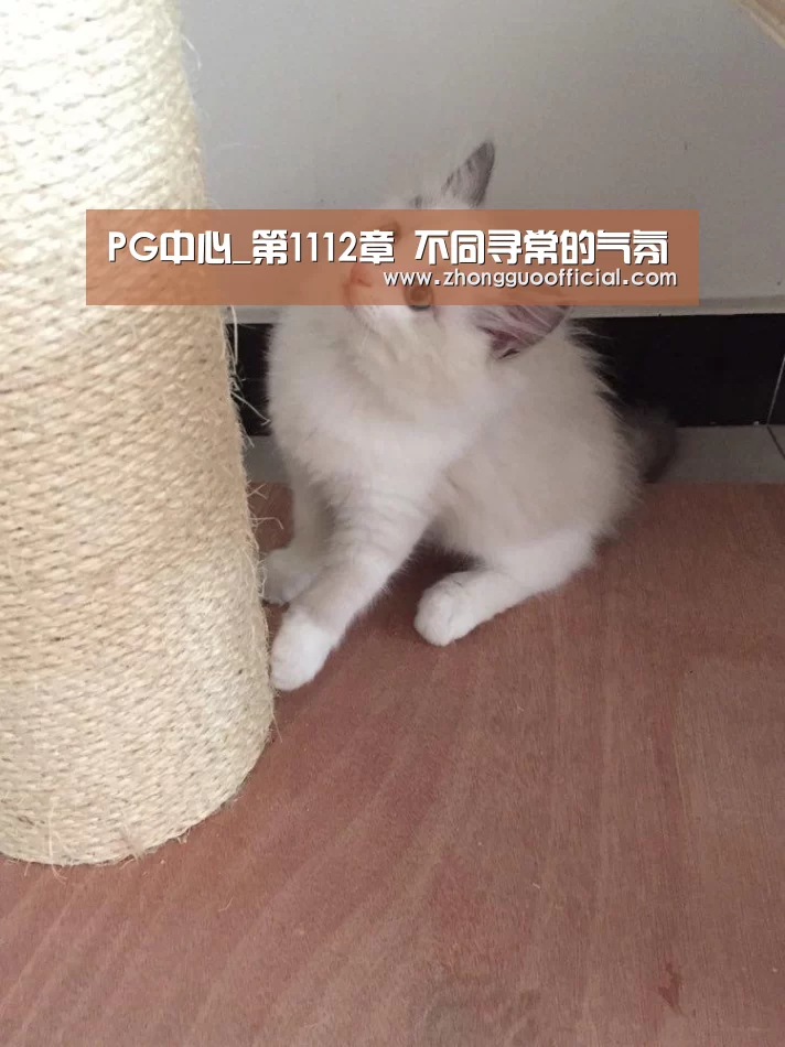PG中心_第1112章 不同寻常的气氛(图2) PG中国