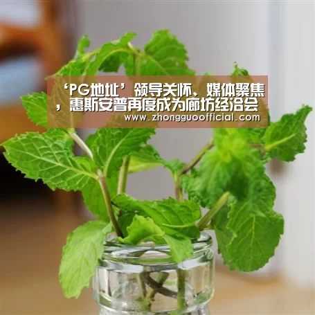 ‘PG地址’领导关怀、媒体聚焦,惠斯安普再度成为廊坊经洽会亮点(图3) PG地址