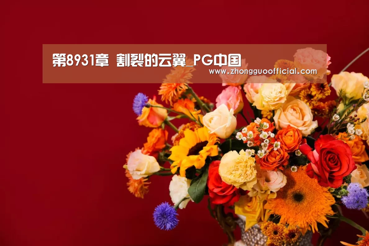第8931章 割裂的云翼_PG中国(图1) PG中国